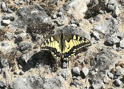 IMG 20210905 WA0028 IMG 20210905 WA0028