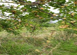 IMG 20210822 WA0002 IMG 20210822 WA0002