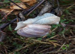 IMG 20210822 WA0024 IMG 20210822 WA0024