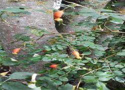 IMG 20210822 WA0032 IMG 20210822 WA0032