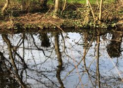 IMG 20220213 WA0004 IMG 20220213 WA0004