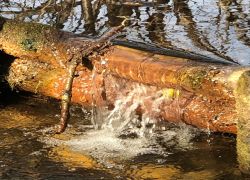 IMG 20220213 WA0005 IMG 20220213 WA0005