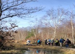 IMG 20220213 WA0011 IMG 20220213 WA0011