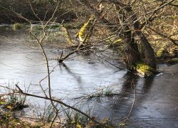 IMG 20220213 WA0013 IMG 20220213 WA0013