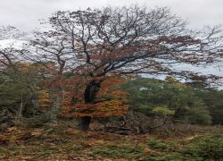 IMG 20221023 WA0026 1