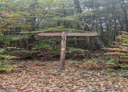 IMG 20221023 WA0027 1