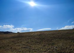 IMG 20220313 WA0002 IMG 20220313 WA0002