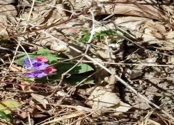 IMG 20220313 WA0003 IMG 20220313 WA0003