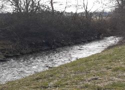 IMG 20220306 WA0000 IMG 20220306 WA0000