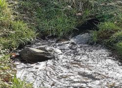 IMG 20220306 WA0008 IMG 20220306 WA0008