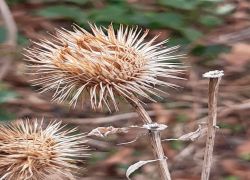 IMG 20220306 WA0013 IMG 20220306 WA0013