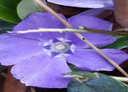 IMG 20220306 WA0016 IMG 20220306 WA0016