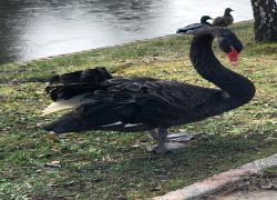 IMG 20220306 WA0020 IMG 20220306 WA0020
