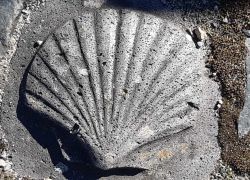 IMG 20220227 WA0007 IMG 20220227 WA0007