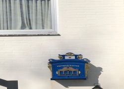 IMG 20220227 WA0029 IMG 20220227 WA0029