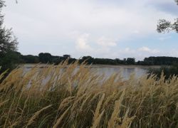 IMG 20220817 WA0004 IMG 20220817 WA0004