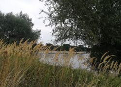 IMG 20220817 WA0005 IMG 20220817 WA0005