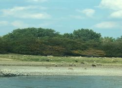 IMG 20220817 WA0013 IMG 20220817 WA0013