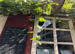 IMG 20220817 WA0019 IMG 20220817 WA0019