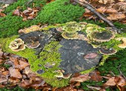 67dd3112e0984945a184af3dc1926185