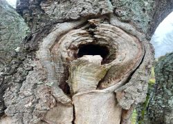 A57cb1201b6947dba166ae700f385ae2