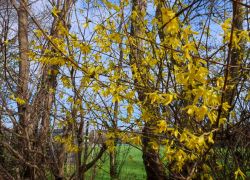 0986c5e8558541dbba8bece14f390b9f