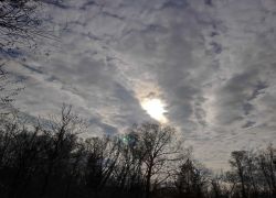 3924c480836743be8cdc998b859290a7