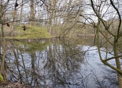 7a979bedadf34ed3adad6d760d4f1e25