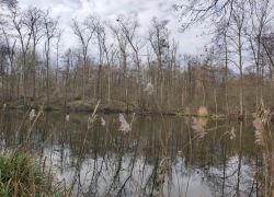 7c20d53840744924afc7070686d7919e