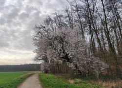 95be5ecd0b5a4a25a501389c5493fff8