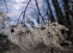 A89a93bda0374cd8b07fcf09c0766e69