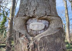 B77af390fe8342049457f059358c9b52