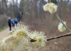 Cac166eb04b3420db32efa997032960d