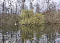 Da11b47a7d7b42be9650d12b06ebebc5