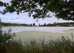 IMG 20230723 WA0001 IMG 20230723 WA0001