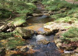 IMG 20230903 WA0002 IMG 20230903 WA0002