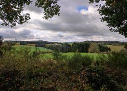 IMG 20231015 WA0001 IMG 20231015 WA0001