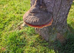 IMG 20231015 WA0004 IMG 20231015 WA0004