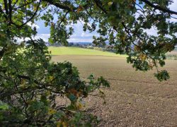 IMG 20231015 WA0007 IMG 20231015 WA0007