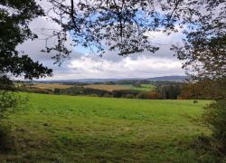 IMG 20231015 WA0009 IMG 20231015 WA0009