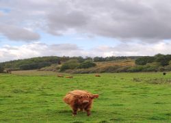 IMG 20231015 WA0013 IMG 20231015 WA0013