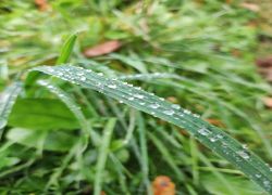 IMG 20231015 WA0016 IMG 20231015 WA0016