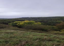 IMG 20231015 WA0020 IMG 20231015 WA0020