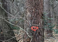 IMG 20230319 WA0015 IMG 20230319 WA0015