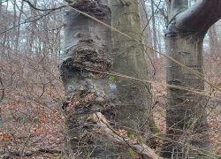 IMG 20230212 WA0008 IMG 20230212 WA0008