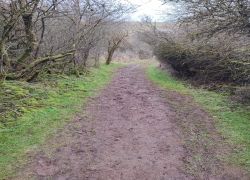 IMG 20230212 WA0015 IMG 20230212 WA0015