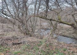 IMG 20230212 WA0019 IMG 20230212 WA0019