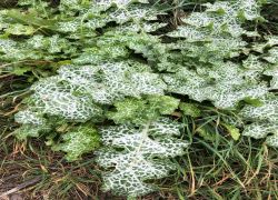 IMG 20231022 WA0002 IMG 20231022 WA0002