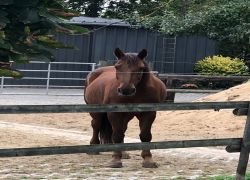 IMG 20231022 WA0003 IMG 20231022 WA0003