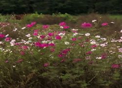 IMG 20231022 WA0006 IMG 20231022 WA0006